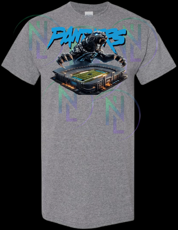 NFL Panthers T-Shirt