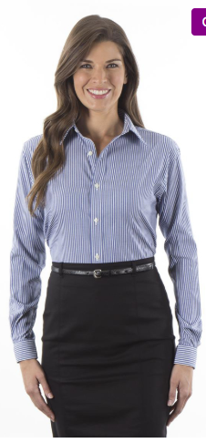 Ladies VanHeusen Pinstripe Long Sleeve Button Down